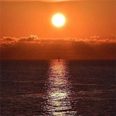 乐鱼官网手机版