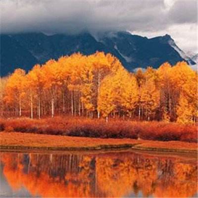 今期澳门三肖三码开一码手机app下载